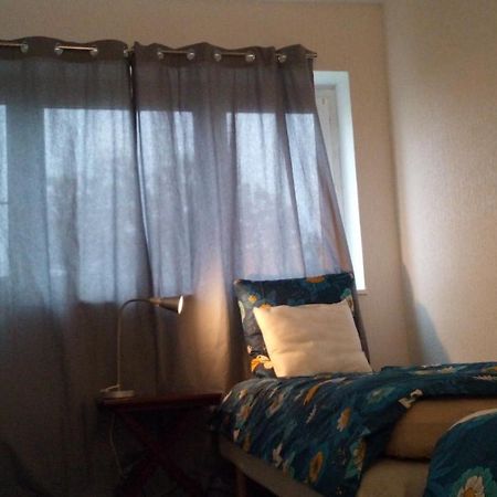 Chambre Lits Jumeaux Chevilly-Larue Zewnętrze zdjęcie